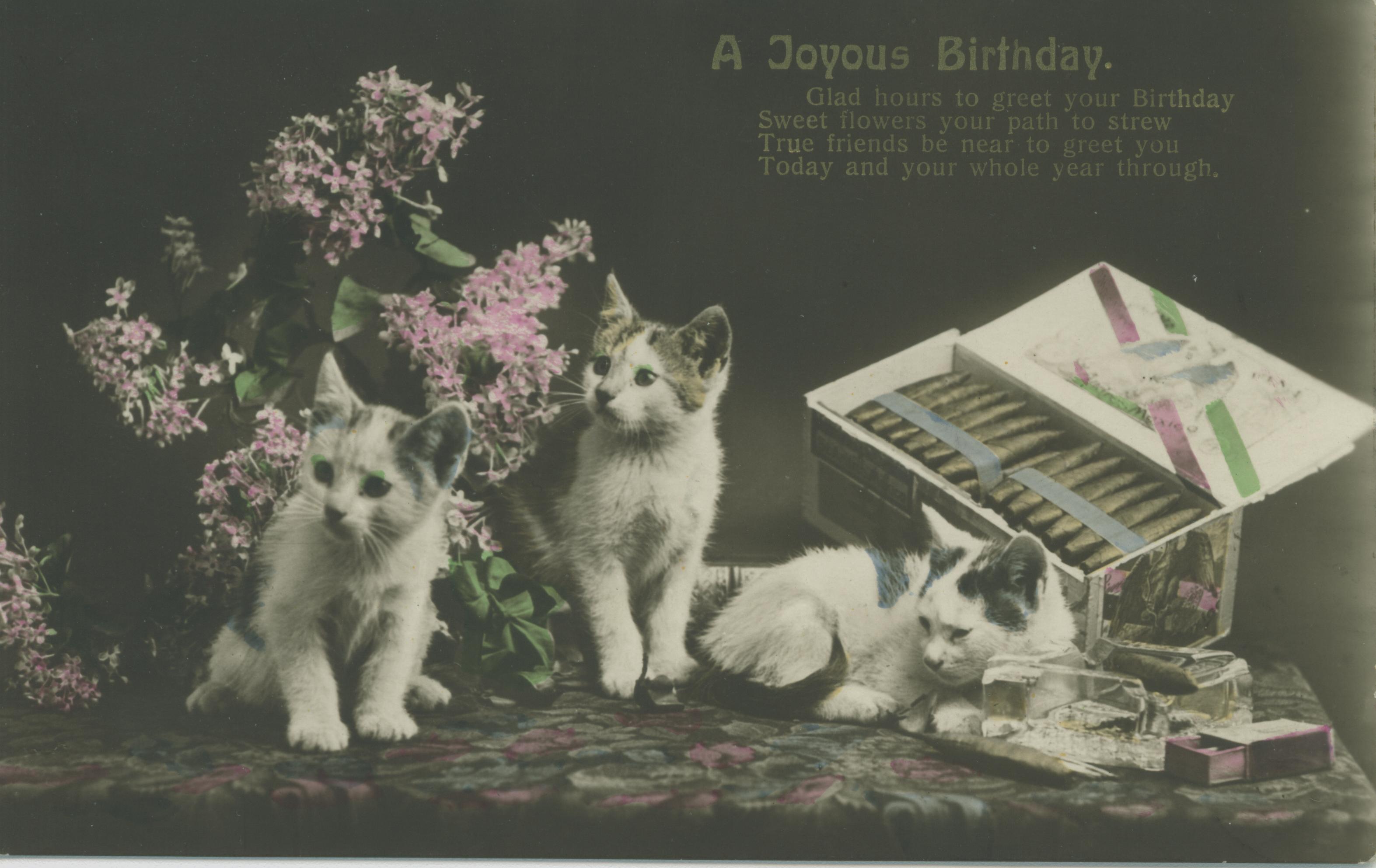 Birthday Greetings with Cats & Dogs | Vintage Postcards